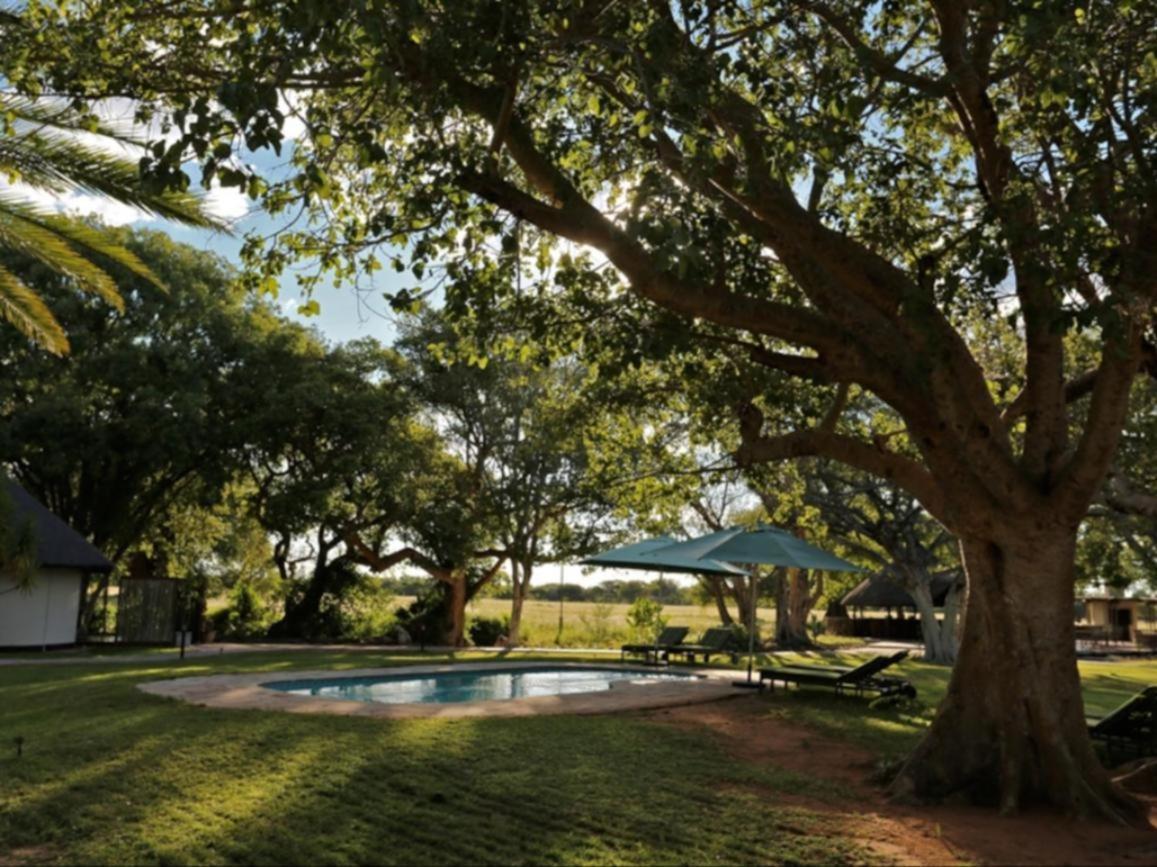 La Rochelle Lodge Namibia Tsumeb Kültér fotó